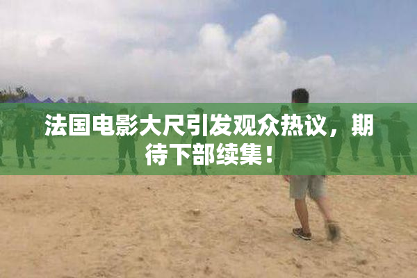法国电影大尺引发观众热议，期待下部续集！