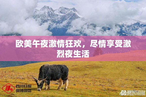 欧美午夜激情狂欢，尽情享受激烈夜生活