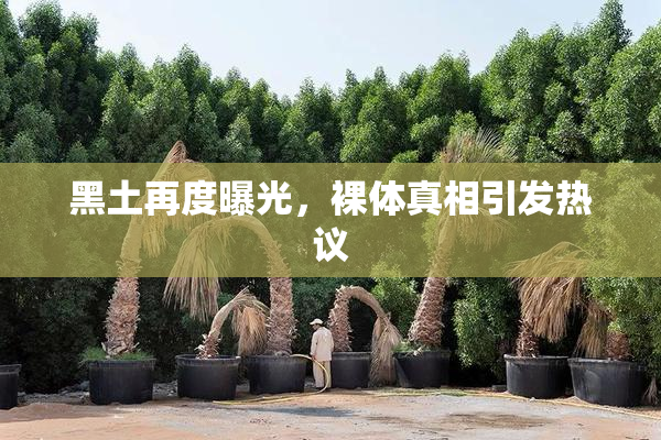 黑土再度曝光，裸体真相引发热议