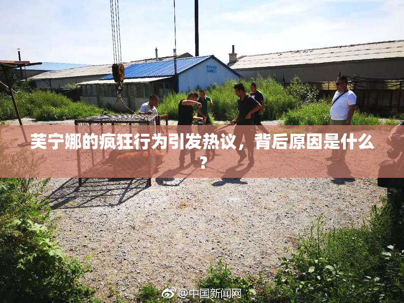 芙宁娜的疯狂行为引发热议，背后原因是什么？