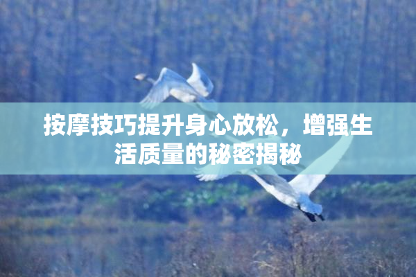 按摩技巧提升身心放松，增强生活质量的秘密揭秘