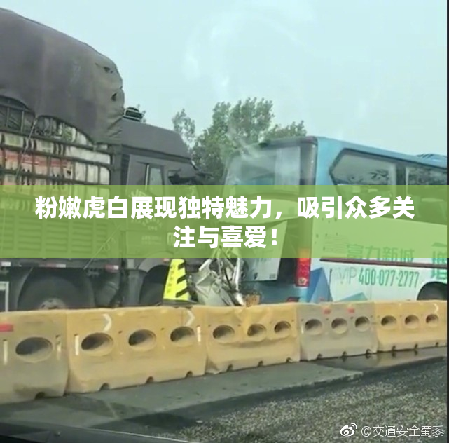 粉嫩虎白展现独特魅力，吸引众多关注与喜爱！