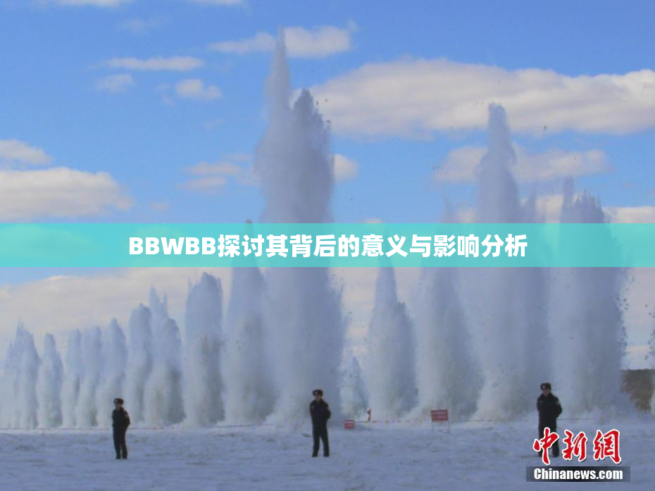 BBWBB探讨其背后的意义与影响分析