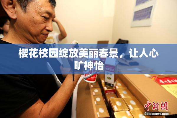 樱花校园绽放美丽春景，让人心旷神怡