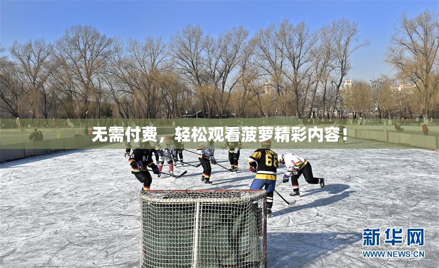 无需付费，轻松观看菠萝精彩内容！