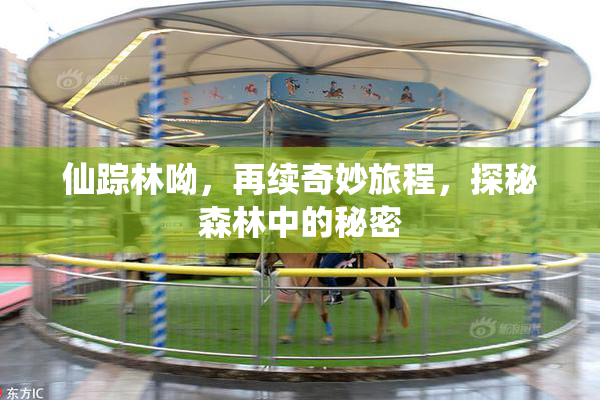 仙踪林呦，再续奇妙旅程，探秘森林中的秘密