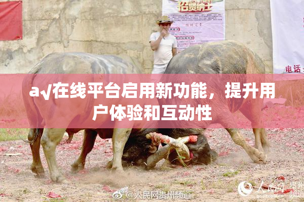a√在线平台启用新功能，提升用户体验和互动性