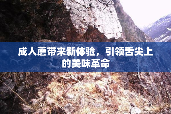成人蘑带来新体验，引领舌尖上的美味革命