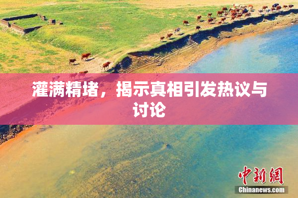 灌满精堵，揭示真相引发热议与讨论