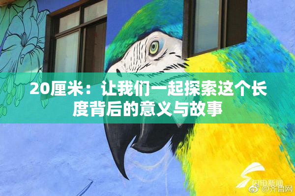 20厘米：让我们一起探索这个长度背后的意义与故事