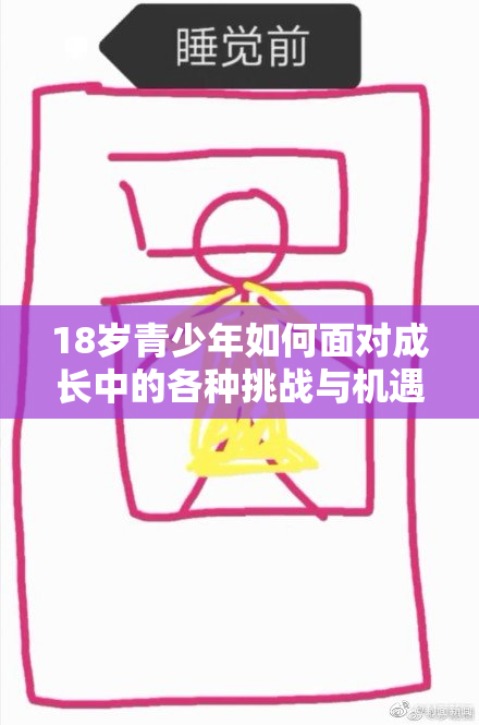 18岁青少年如何面对成长中的各种挑战与机遇