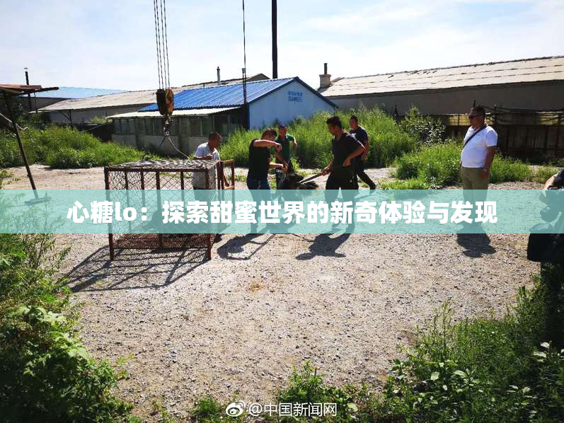 心糖lo：探索甜蜜世界的新奇体验与发现