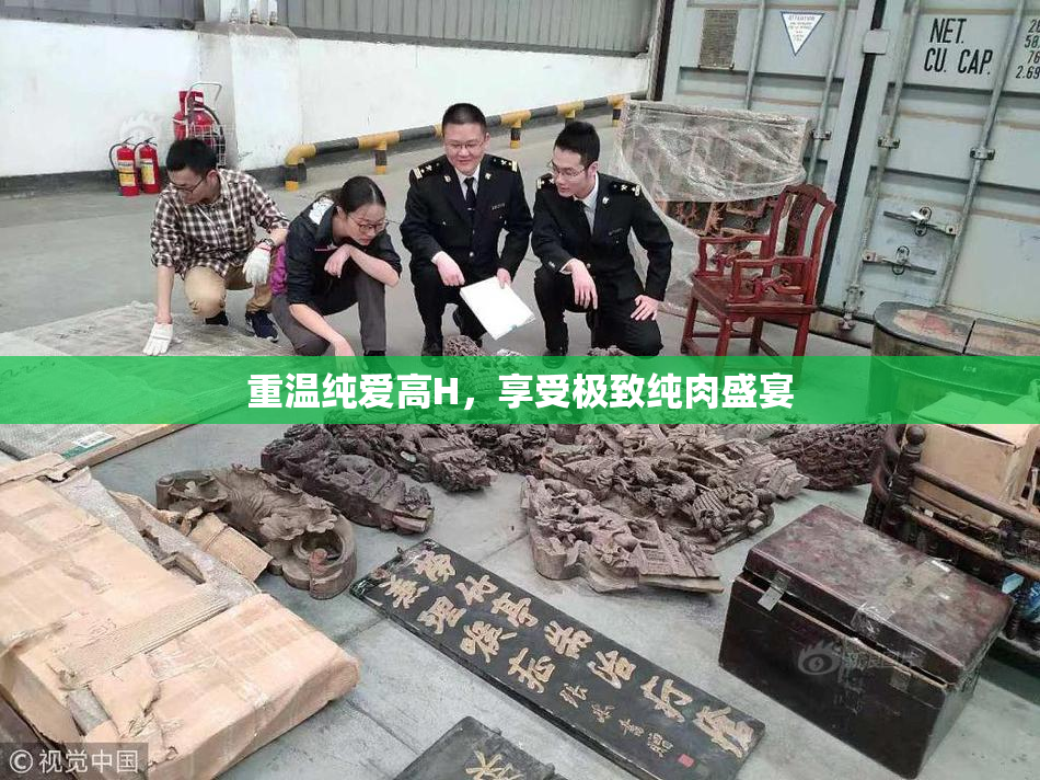 重温纯爱高H，享受极致纯肉盛宴