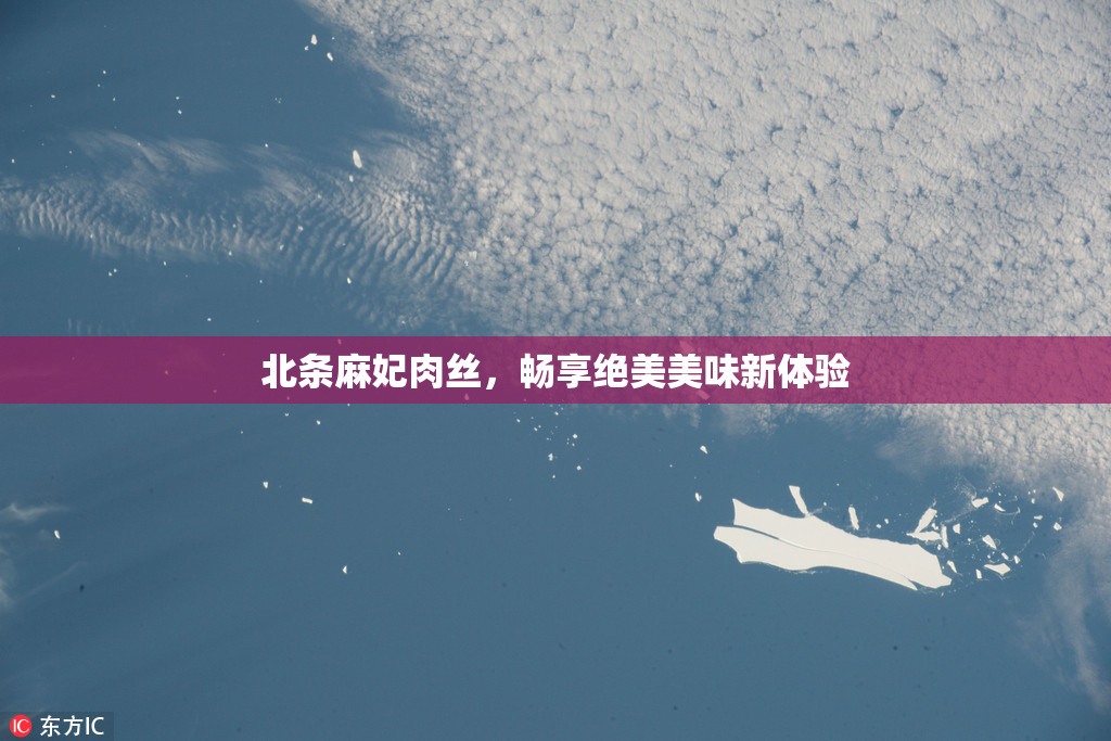 北条麻妃肉丝，畅享绝美美味新体验