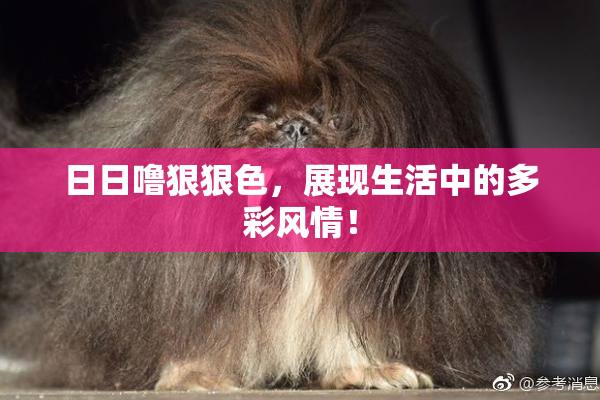 日日噜狠狠色，展现生活中的多彩风情！