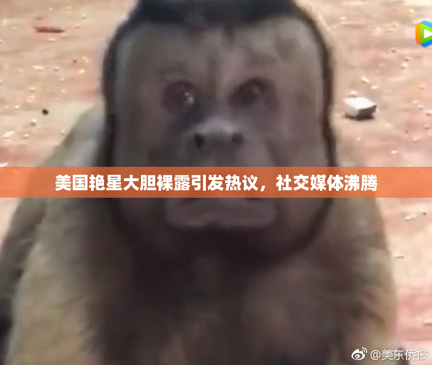 美国艳星大胆裸露引发热议，社交媒体沸腾