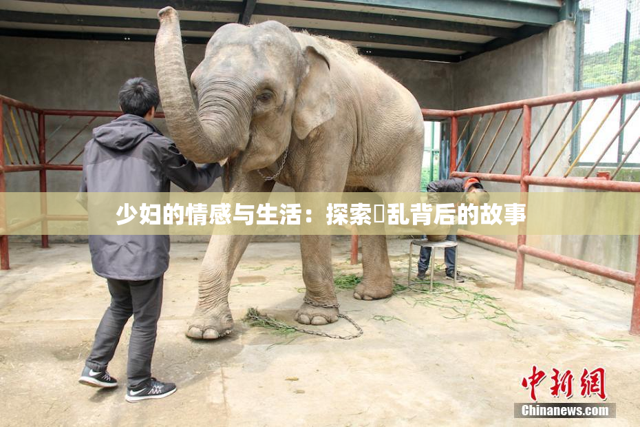 少妇的情感与生活：探索婬乱背后的故事