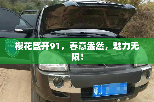 樱花盛开91，春意盎然，魅力无限！