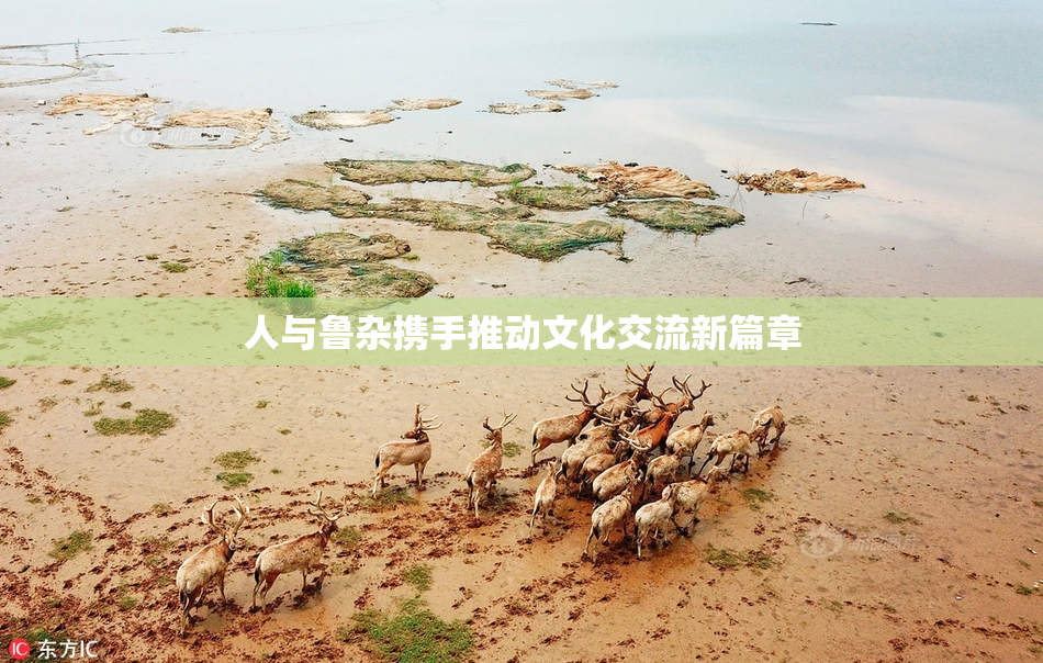 人与鲁杂携手推动文化交流新篇章