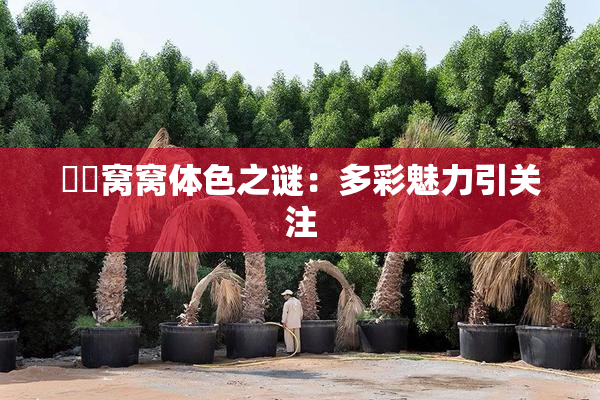妺妺窝窝体色之谜：多彩魅力引关注
