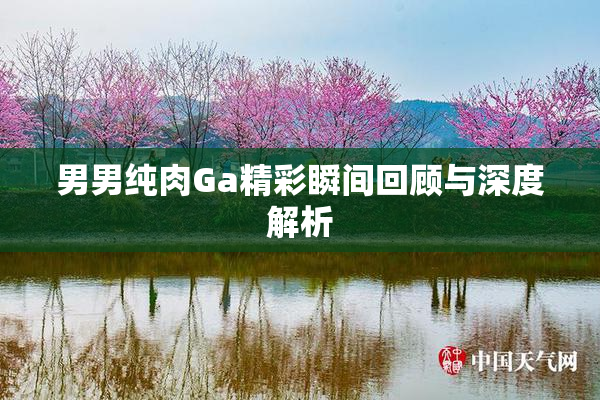 男男纯肉Ga精彩瞬间回顾与深度解析