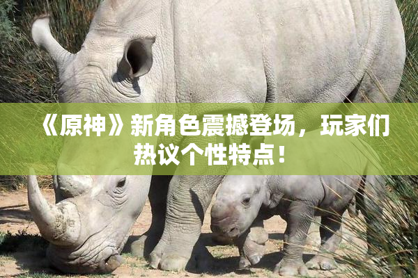 《原神》新角色震撼登场，玩家们热议个性特点！