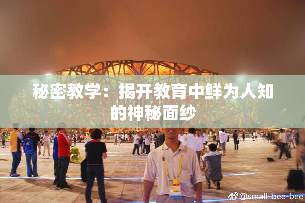 秘密教学：揭开教育中鲜为人知的神秘面纱