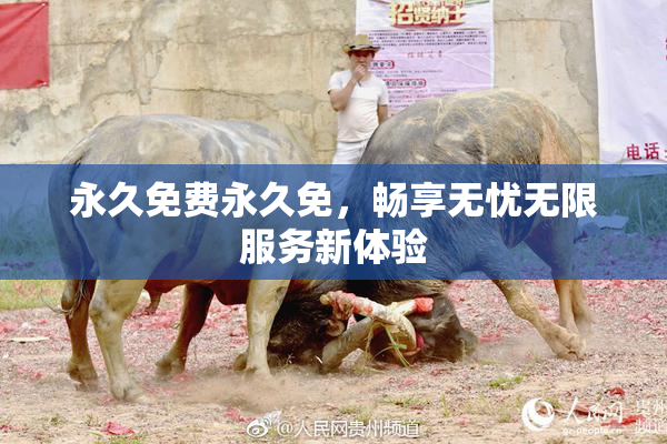 永久免费永久免，畅享无忧无限服务新体验