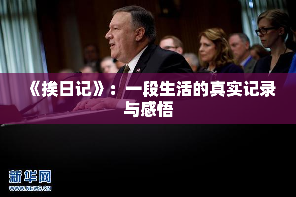 《挨日记》：一段生活的真实记录与感悟