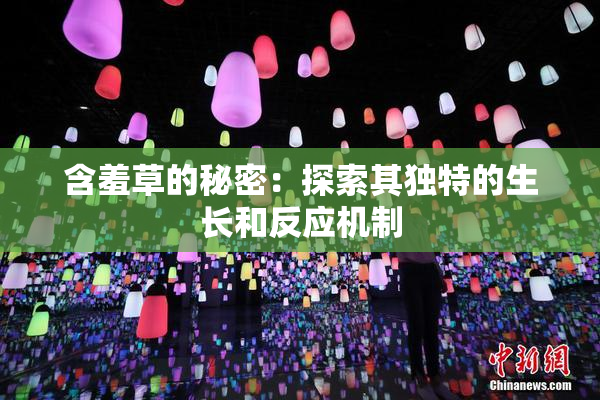 含羞草的秘密：探索其独特的生长和反应机制