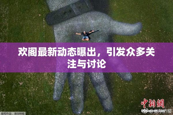 欢阁最新动态曝出，引发众多关注与讨论