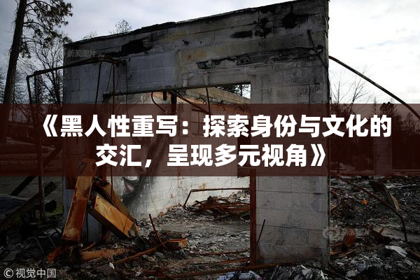 《黑人性重写：探索身份与文化的交汇，呈现多元视角》