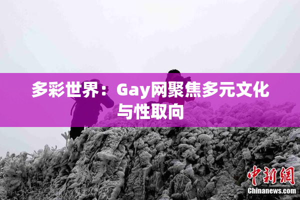 多彩世界：Gay网聚焦多元文化与性取向