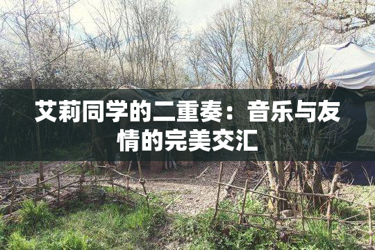 艾莉同学的二重奏：音乐与友情的完美交汇