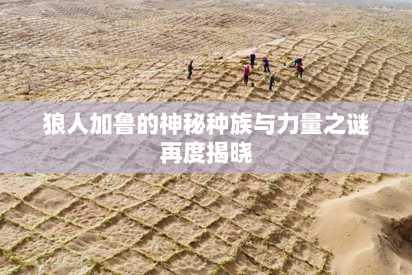 狼人加鲁的神秘种族与力量之谜再度揭晓