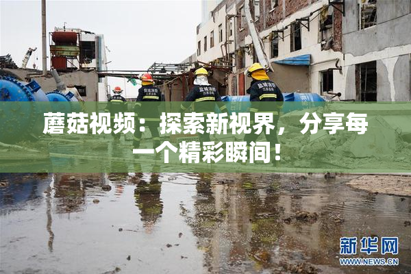 蘑菇视频：探索新视界，分享每一个精彩瞬间！