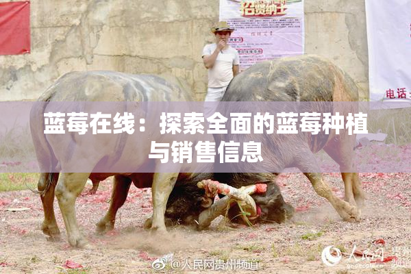 蓝莓在线：探索全面的蓝莓种植与销售信息