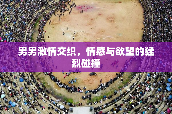 男男激情交织，情感与欲望的猛烈碰撞
