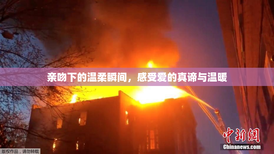 亲吻下的温柔瞬间，感受爱的真谛与温暖