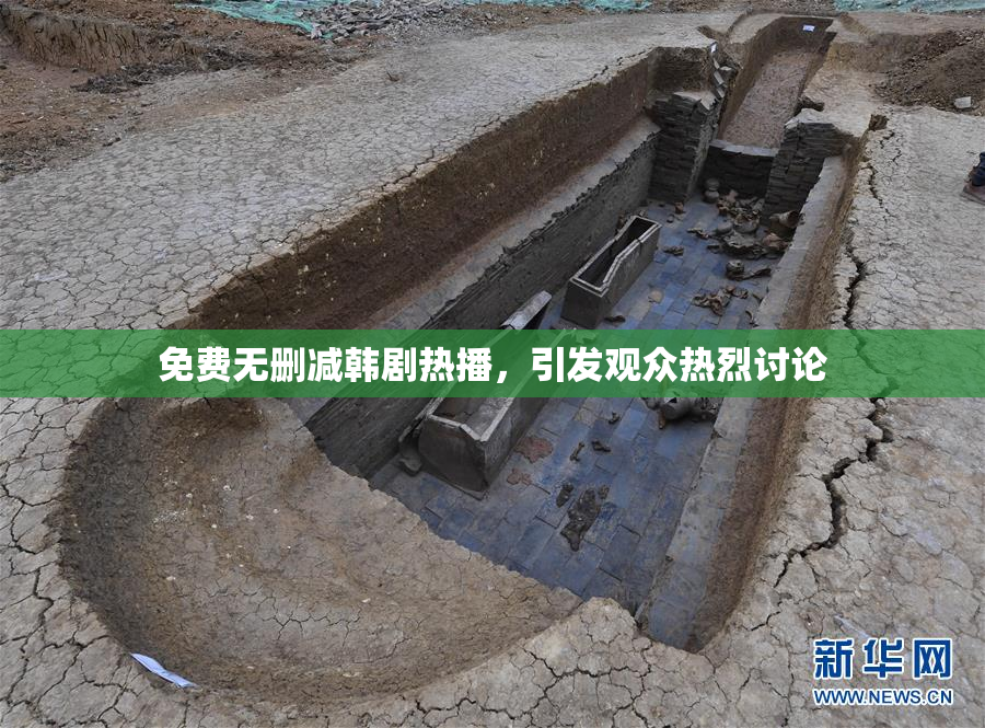 免费无删减韩剧热播，引发观众热烈讨论