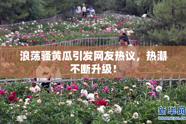浪荡骚黄瓜引发网友热议，热潮不断升级！