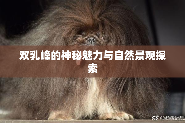 双乳峰的神秘魅力与自然景观探索