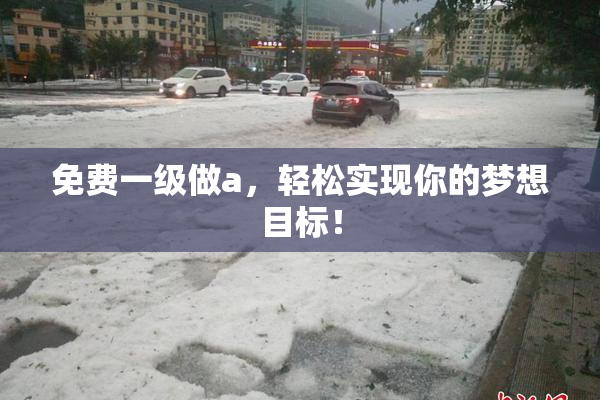 免费一级做a，轻松实现你的梦想目标！