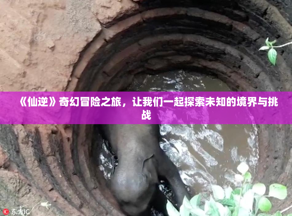 《仙逆》奇幻冒险之旅，让我们一起探索未知的境界与挑战