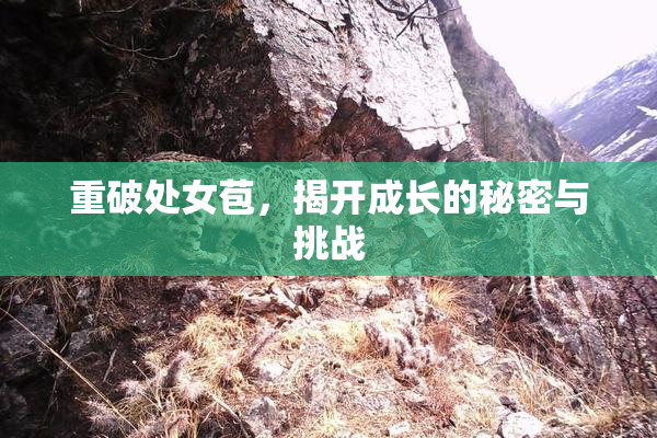 重破处女苞，揭开成长的秘密与挑战