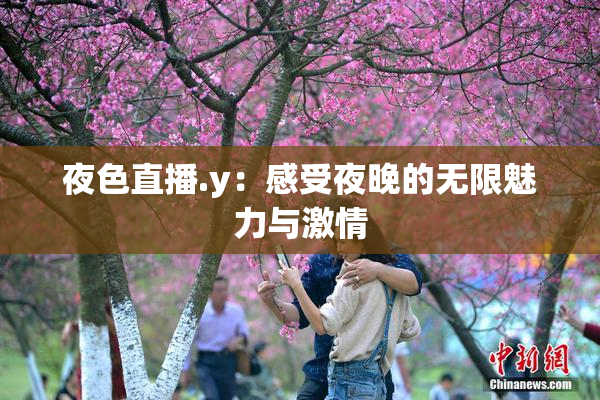 夜色直播.y：感受夜晚的无限魅力与激情