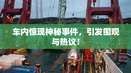 车内惊现神秘事件，引发围观与热议！