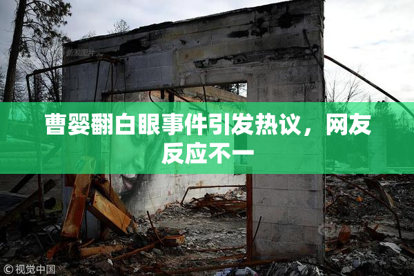曹婴翻白眼事件引发热议，网友反应不一