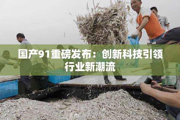 国产91重磅发布：创新科技引领行业新潮流