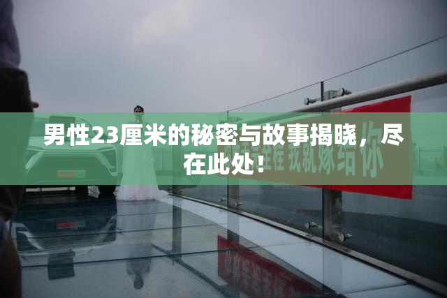 男性23厘米的秘密与故事揭晓，尽在此处！